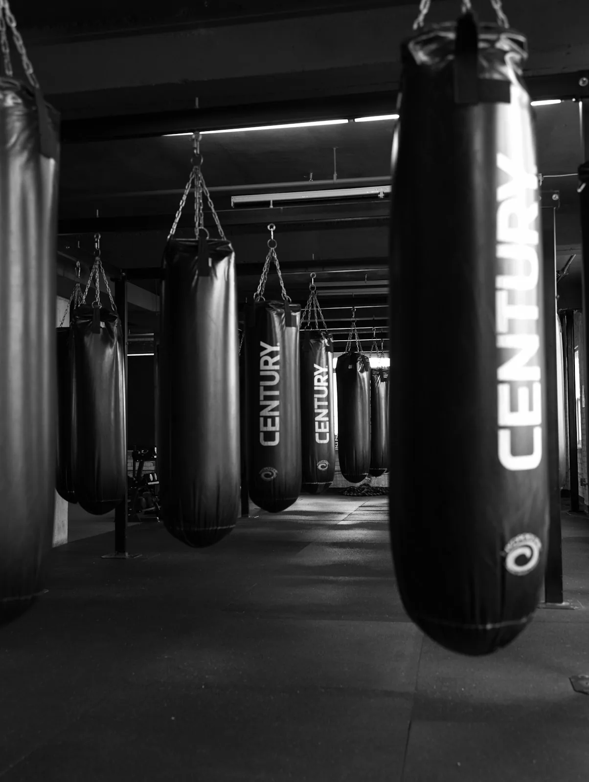 Des sacs de frappe suspendus dans une salle de boxe sombre